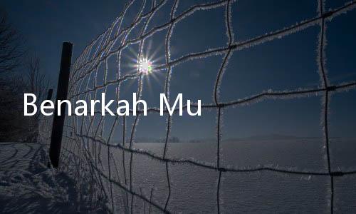 Benarkah Musik Bisa Pengaruhi Sesi Bercinta? Ini Penjelasannya
