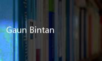 Gaun Bintang Putri Diana Terjual Rp17,8 Miliar