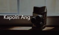 Kapolri Angkat Bicara Atas Protes Pencopotan Brigjen Endar Priantoro