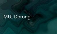 MUI Dorong Perusahaan Segera Kantongi Sertifikasi Syariah untuk Tiap Produk, Ini Gunanya