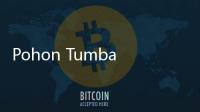Pohon Tumbang Penuhi Jalanan Ibukota