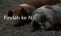 Pindah ke Negara