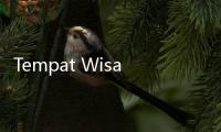 Tempat Wisata Marak Pungli, Sandiaga Minta Ada Tindakan Tegas