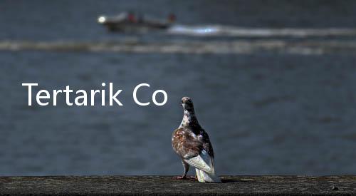 Tertarik Coba Outfit Blockcore? Ini 4 Brand Terbaik yang Ada di Blibli