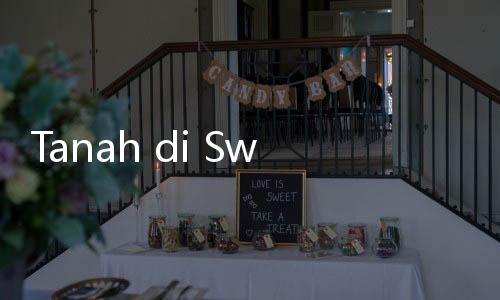 Tanah di Swedia Dijual Seharga Permen per Meter Persegi, Minat?